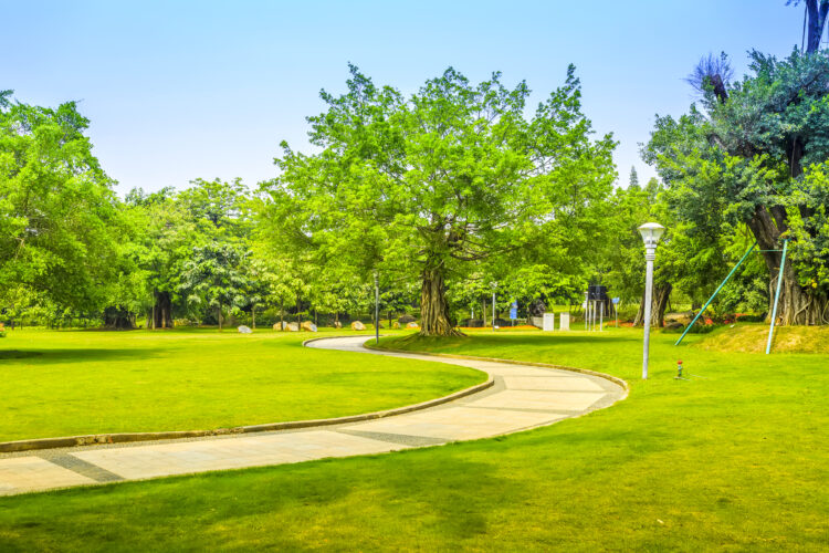 Curved pathway through a green park with trees and lawns.
